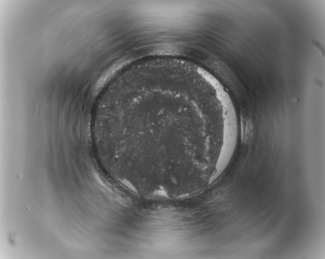 X0000102530531200808291822