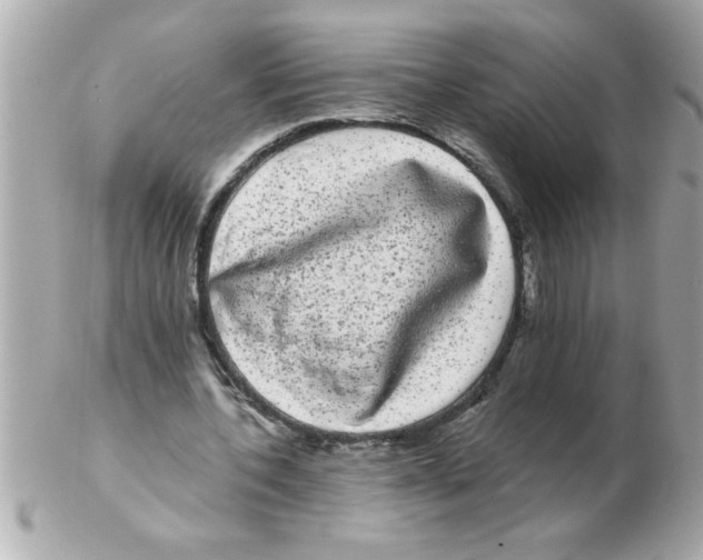 X0000102530532200808291822
