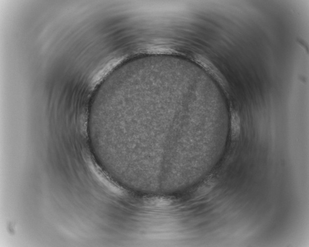 X0000102530533200808291822