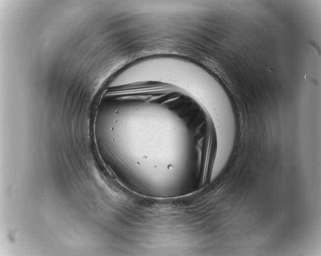 X0000102530534200808291822