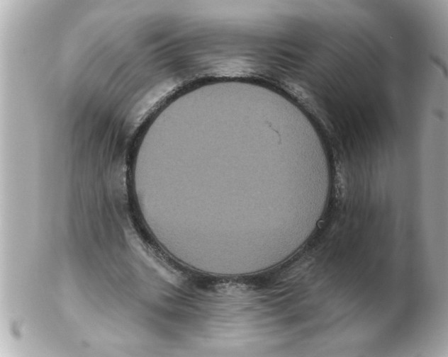 X0000102530535200808291822