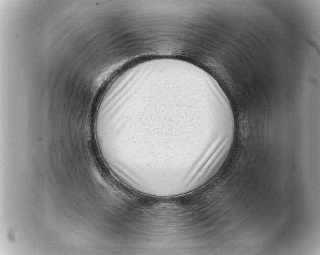 X0000102530536200808291822