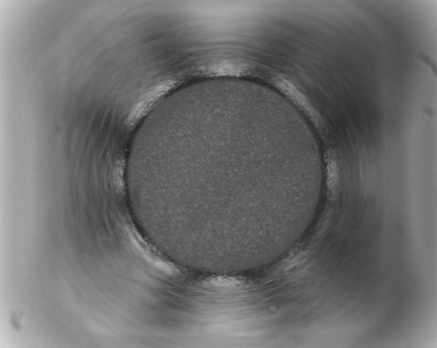 X0000102530537200808291822