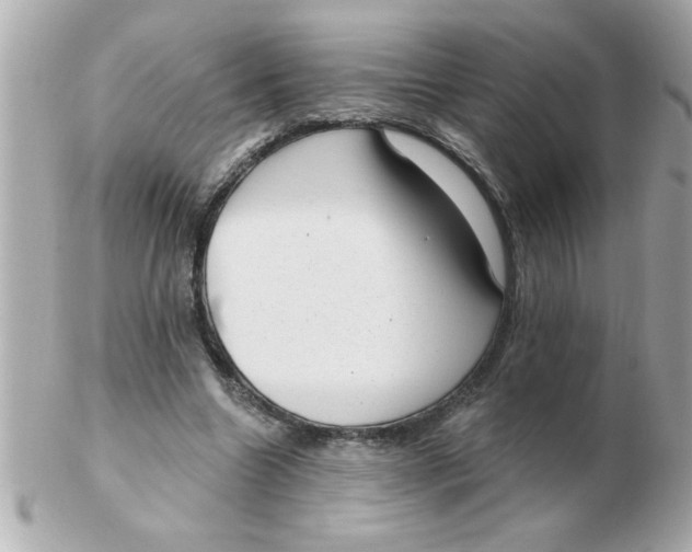 X0000102530538200808291822