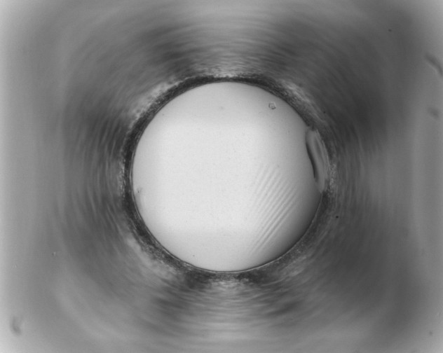 X0000102530540200808291822
