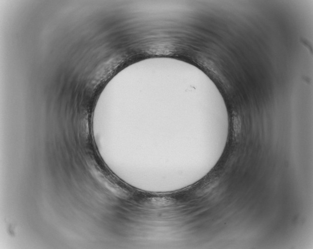 X0000102530541200808291822