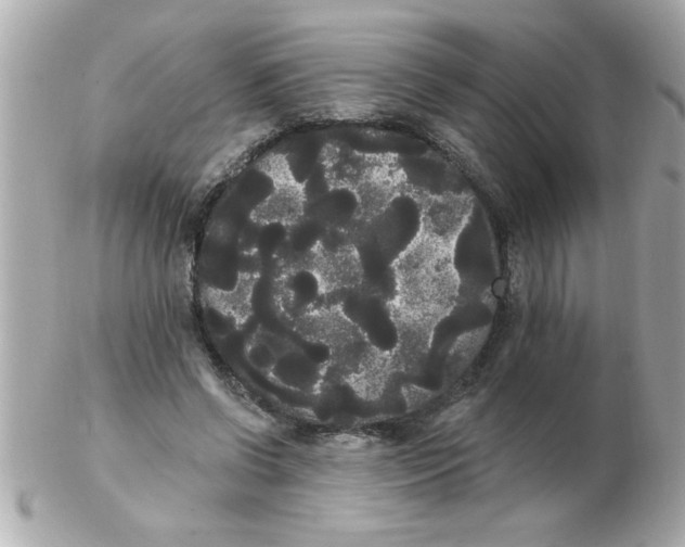 X0000102530542200808291822