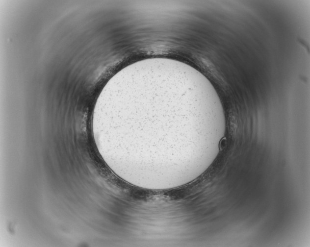 X0000102530543200808291822