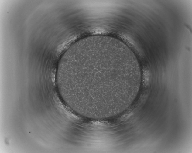 X0000102530545200808291822