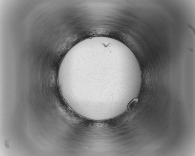 X0000102530546200808291822