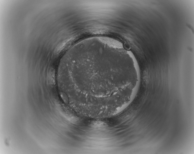 X0000102530547200808291822