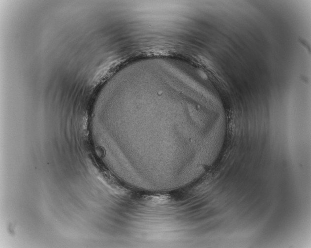 X0000102530548200808291822