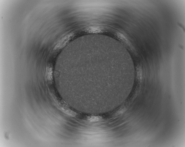 X0000102530549200808291822