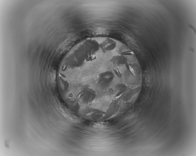 X0000102530550200808291822
