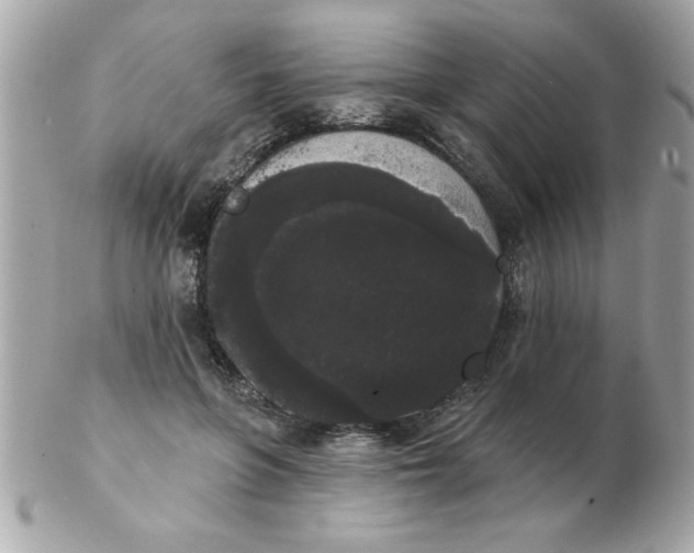 X0000102530551200808291822