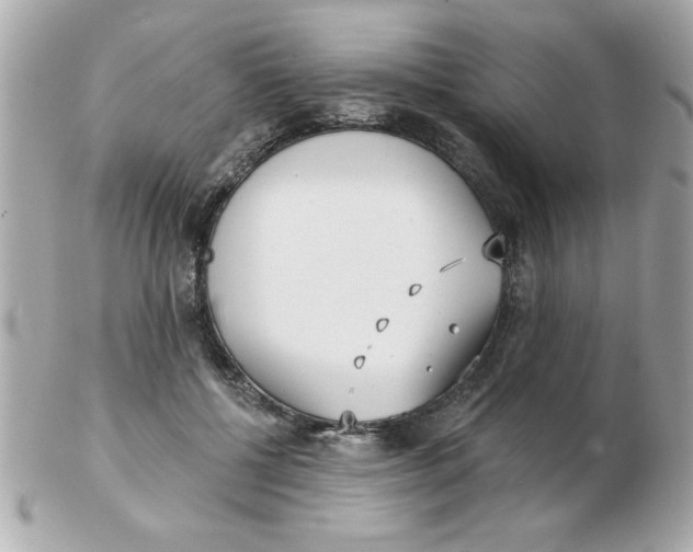 X0000102530552200808291822
