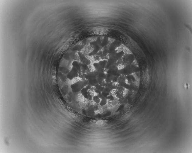 X0000102530553200808291822