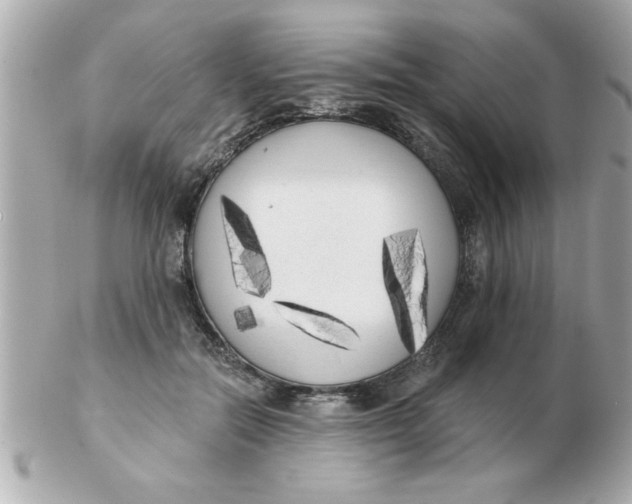 X0000102530554200808291822