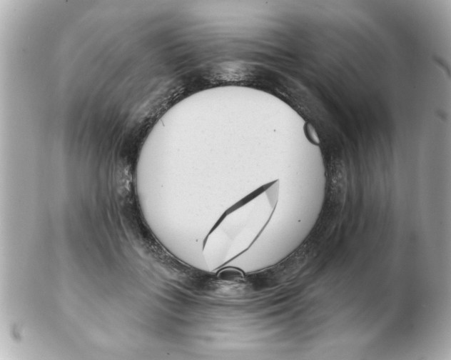 X0000102530555200808291822