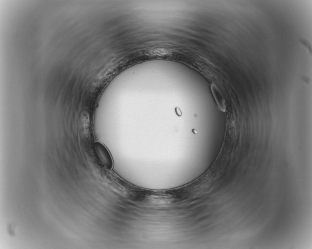 X0000102530556200808291822