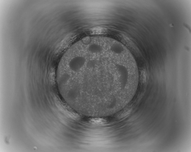 X0000102530557200808291822