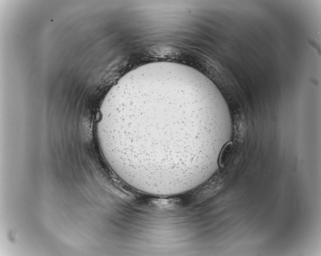 X0000102530558200808291822