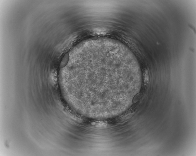 X0000102530559200808291822