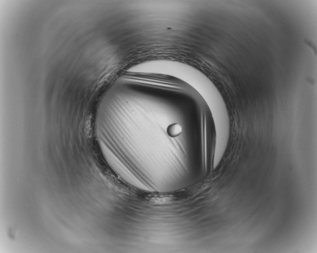 X0000102530560200808291822
