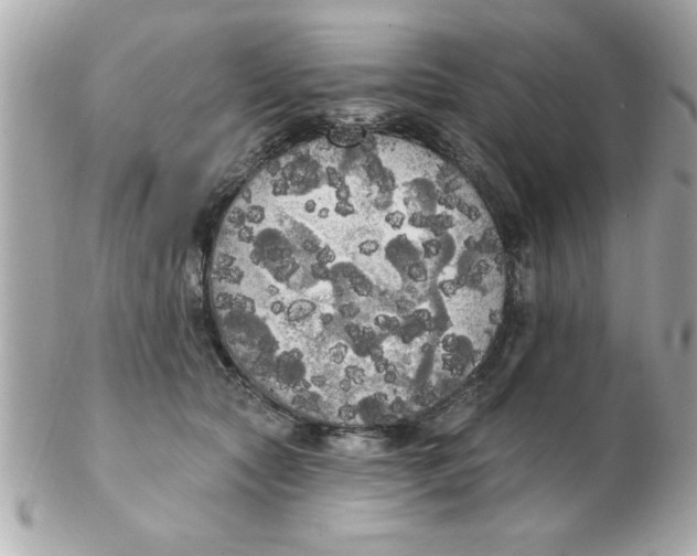 X0000102530561200808291822