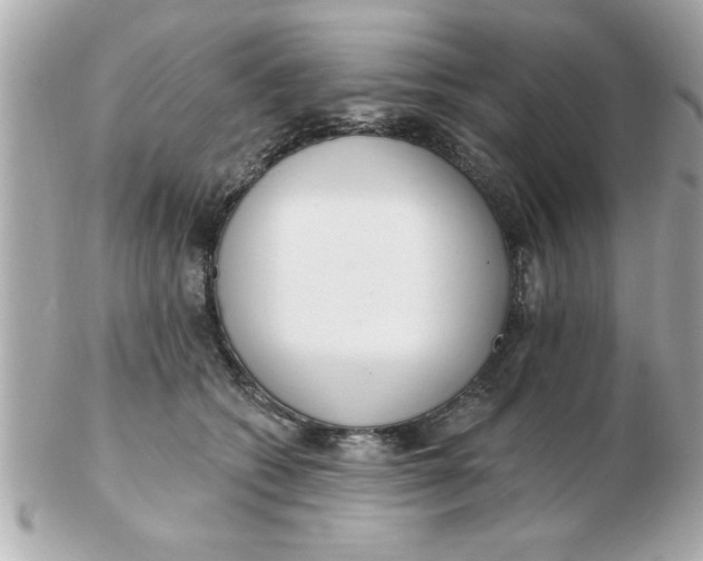 X0000102530562200808291822