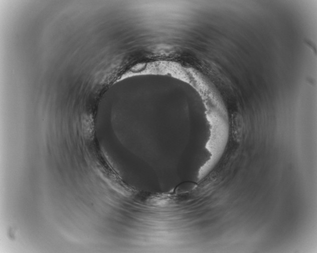 X0000102530563200808291822