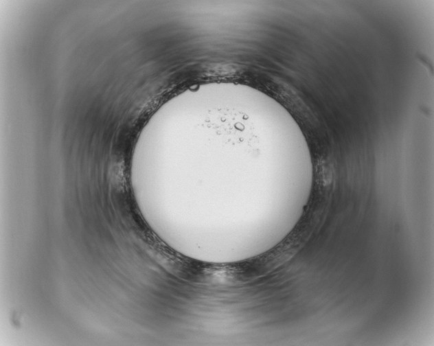 X0000102530564200808291822