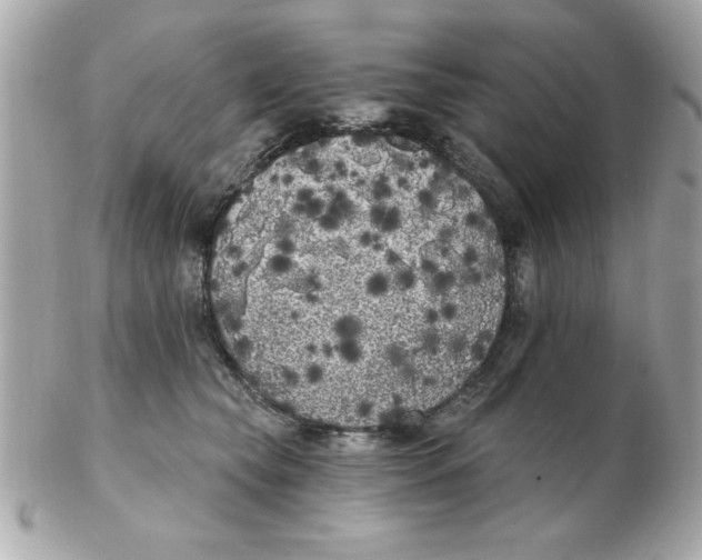 X0000102530565200808291822