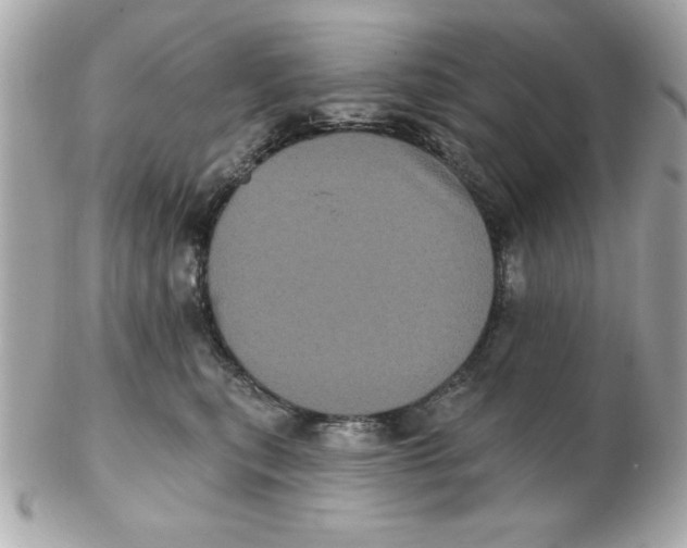 X0000102530567200808291822