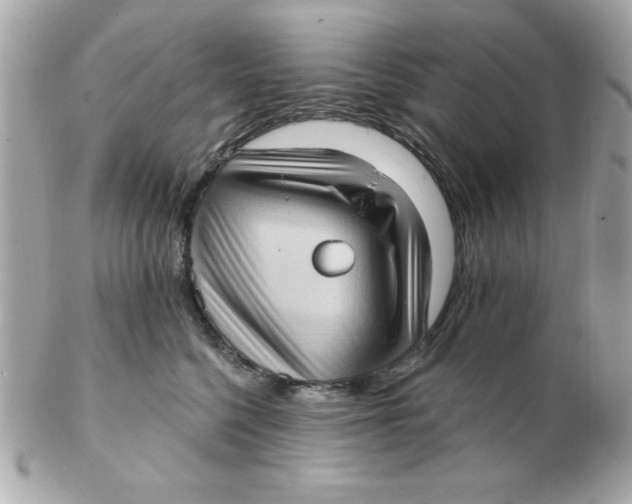 X0000102530568200808291822