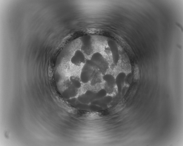 X0000102530569200808291822