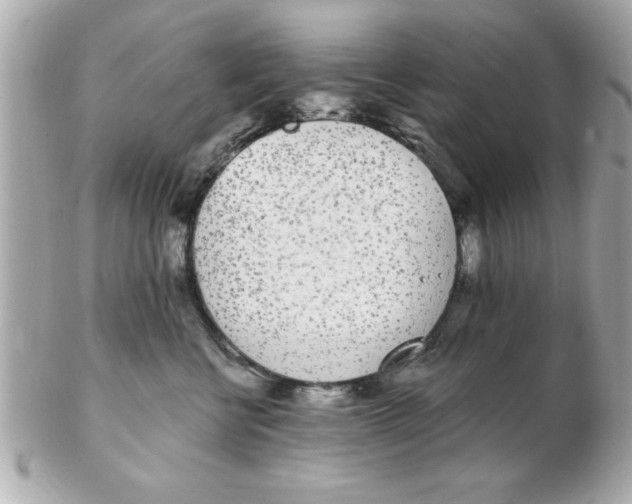X0000102530570200808291822
