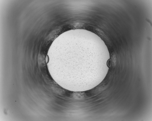 X0000102530571200808291822