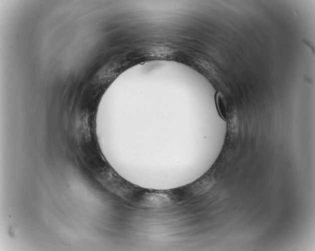 X0000102530572200808291822