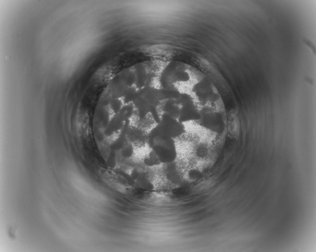 X0000102530573200808291822