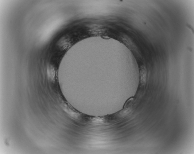 X0000102530574200808291822