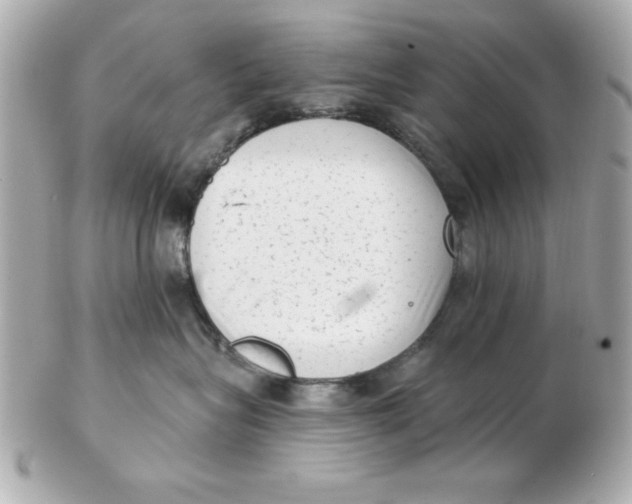 X0000102530575200808291822