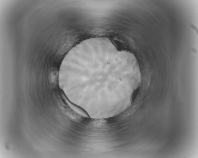 X0000102530576200808291822