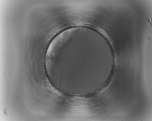 X0000102530577200808291822