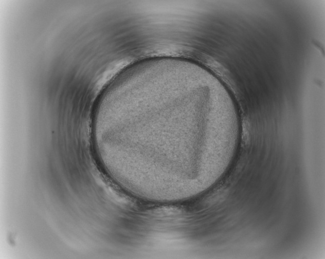 X0000102530578200808291822