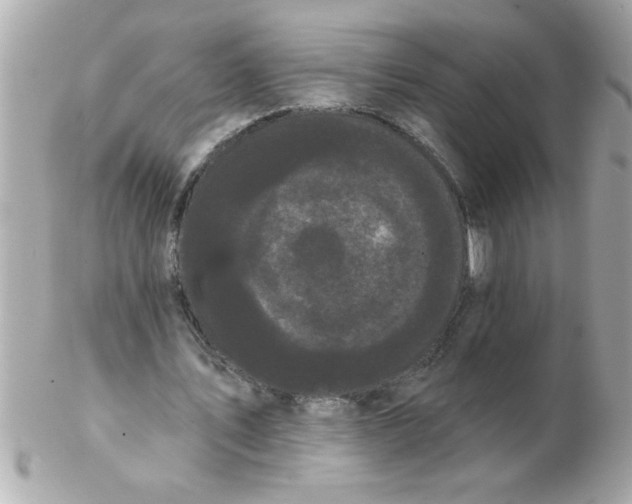 X0000102530579200808291822
