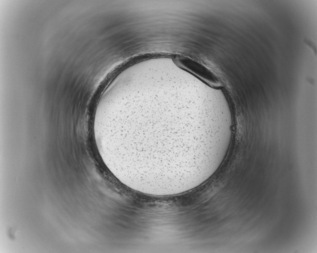 X0000102530580200808291822