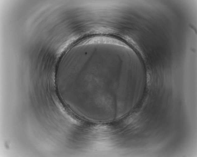 X0000102530581200808291822