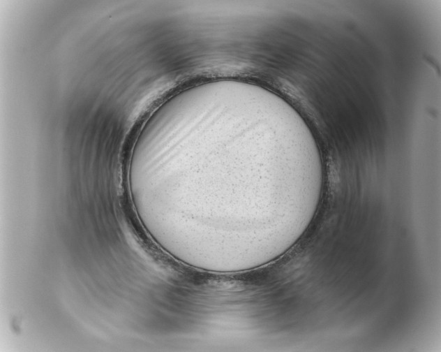 X0000102530582200808291822