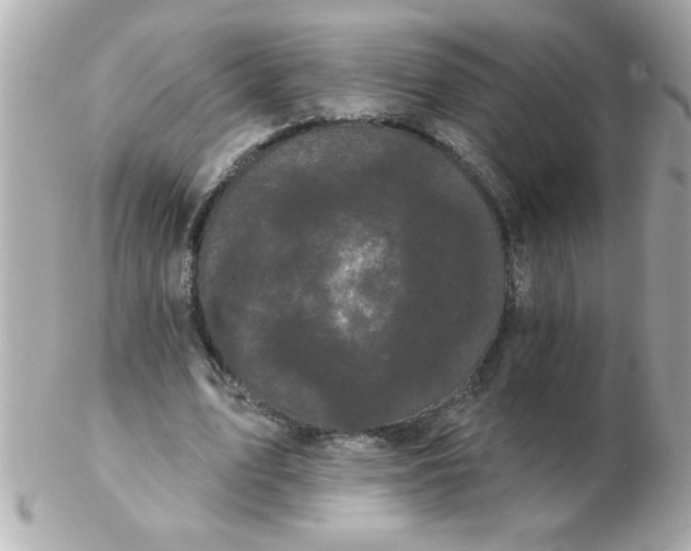 X0000102530583200808291822
